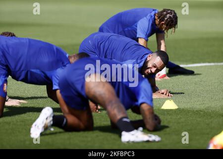 Memphis Delay lors d'une session de formation de l'équipe nationale néerlandaise au complexe de formation de l'Université du Qatar sur 16 novembre 2022 à Doha, au Qatar. L'équipe nationale néerlandaise se prépare pour le match d'ouverture de la coupe du monde au Qatar contre le Sénégal. ANP KOEN VAN WEEL pays-bas hors - belgique hors Banque D'Images