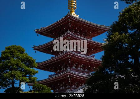 Un paysage du temple Yakushi-ji à Nara au Japon Banque D'Images