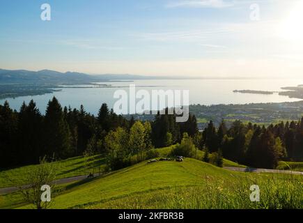 Vue sur les Alpes ensoleillées depuis Eichenberg dans les Alpes autrichiennes et le côté allemand du lac de Constance avec l'île de Lindau le soir au soleil au printemps Banque D'Images