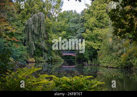 Berlin, Allemagne - septembre 2022 : un pont en bois au milieu d'un paysage vert et d'une réflexion sur l'étang, parc Tiergarten Banque D'Images