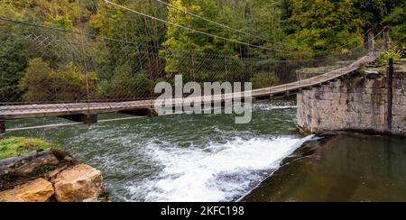 Otoño en la selva de Irati, puente collante de Aribe, Pirineo Navarro, Espagne Banque D'Images