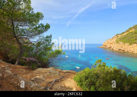 Vue surélevée de Cala Benirras montrant la beauté naturelle d'Ibiza, Iles Baléares, Espagne. Banque D'Images