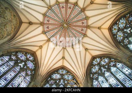 Ventilateur - plafond voûté de la Maison du Chapitre, York Minster, North Yorkshire, Angleterre Banque D'Images