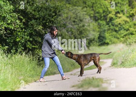 Femme et Boxer allemand Banque D'Images