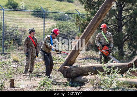 Un soldat affecté à la Compagnie Bravo, 52nd Brigade Engineer Battalion, 2nd Stryker Brigade combat Team, 4th Infantry Division, utilise une hache pour démolir une tour d'escalade désaffectée à ft. Carson, Colorado, 7 septembre. L'unité a démoli la zone afin d'améliorer les conditions du site et de faire place à de futurs projets. Photo de l'armée américaine par le Maj. Jason Elmore. Banque D'Images