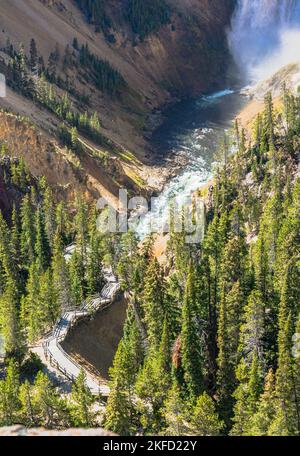 Regardez vers le bas ou en face de Lower Yellowstone Falls dans le parc national de Yellowstone, États-Unis. L'eau coule et se déverse sur des rochers escarpés dans le canyon de Yellowstone. Banque D'Images