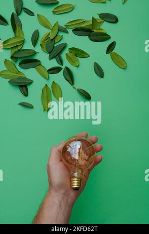 Source d'énergie verte. Électricité et énergie verte concept.ampoule dans une main mâle et feuilles vertes sur fond vert.énergie naturelle alternative Banque D'Images