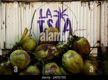 Un gros plan de noix de coco vides sur la plage à Puerto Escondido, Oaxaca, Mexique Banque D'Images