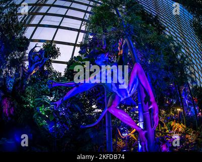 Avatar - l'expérience à Clouds Forest, Gardens by the Bay, Singapour. Banque D'Images