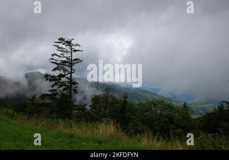 Une belle photo des Blue Ridge Mountains couvertes de brouillard dense après la pluie Banque D'Images