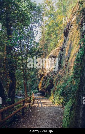 Dans la nature entre les roches et les grès. Sentier de randonnée en perspective de point de fuite, pris en Suisse saxonne avec le célèbre Schrammsteinen. Banque D'Images