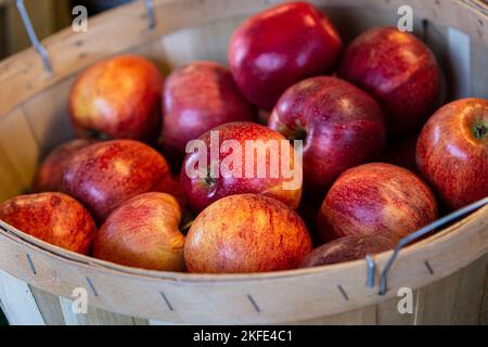 Pommes Gala dans un panier exposé sur un marché agricole Banque D'Images