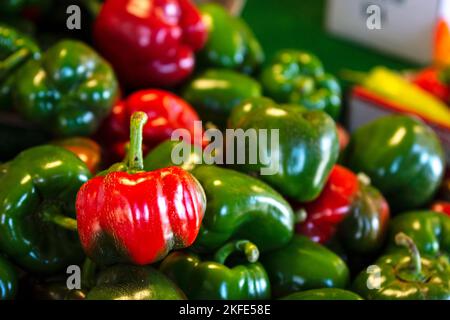 Poivrons verts doux exposés à la vente sur un marché agricole. Banque D'Images