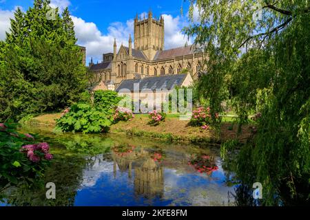 La magnifique cathédrale se reflète dans la lande du Palais des évêques à Wells, Somerset, Angleterre, Royaume-Uni Banque D'Images