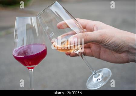 Verres avec différents types de vin au premier plan Banque D'Images