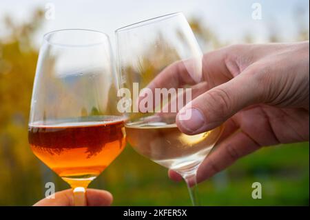 Verres avec différents types de vin au premier plan Banque D'Images