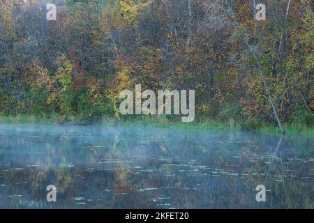 Un lac réfléchissant avec un peu de brouillard sur l'eau dans les bois pendant l'automne. Banque D'Images