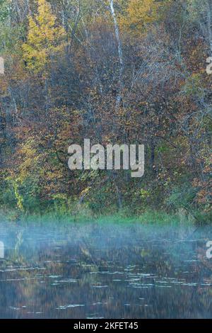 Un lac réfléchissant avec un peu de brouillard sur l'eau dans les bois pendant l'automne. Banque D'Images