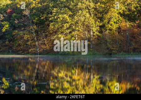 Un lac réfléchissant avec un peu de brouillard sur l'eau dans les bois pendant l'automne. Banque D'Images