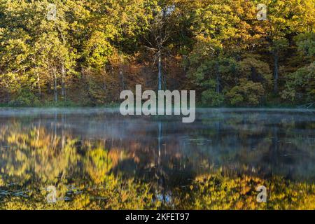 Un lac réfléchissant avec un peu de brouillard sur l'eau dans les bois pendant l'automne. Banque D'Images