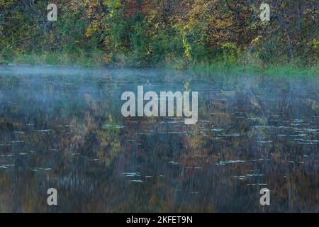 Un lac réfléchissant avec un peu de brouillard sur l'eau dans les bois pendant l'automne. Banque D'Images