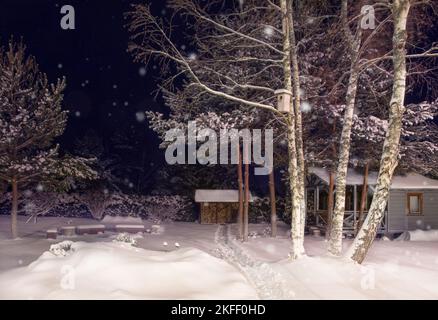 Nuit dans le jardin d'hiver. Cour d'hiver couverte de neige Banque D'Images