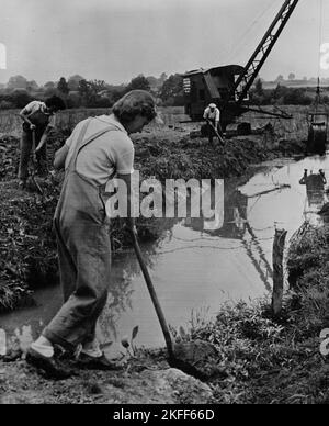 Photo vintage vers avril 1943 de femmes britanniques non identifiées travaillant sur une ferme creusant des fossés de drainage avec des bêches dans le Devon rural dans le cadre de l'Armée de terre des femmes aidant à produire de la nourriture pendant la deuxième guerre mondiale Banque D'Images