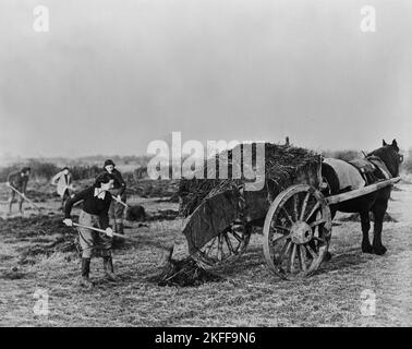 Photo vintage vers avril 1943 de femmes britanniques non identifiées travaillant sur une ferme d'épandage d'engrais à partir d'un chariot tiré par des chevaux avec des bêches dans les zones rurales de la Grande-Bretagne, dans le cadre de l'Armée de terre des femmes aidant à produire de la nourriture pendant la deuxième guerre mondiale Banque D'Images