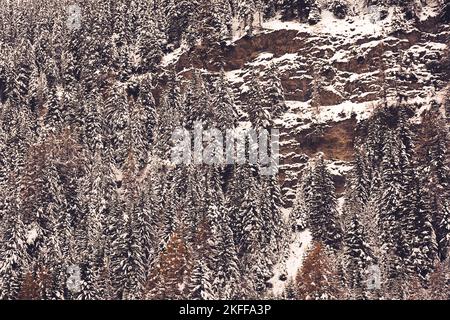 Vue panoramique sur les arbres couverts de neige dans les montagnes en Autriche Banque D'Images