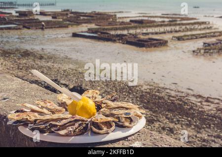 Vue panoramique sur une assiette d'huîtres ouverte avec citron et ferme d'huîtres en arrière-plan à Cancale Bretagne France Banque D'Images