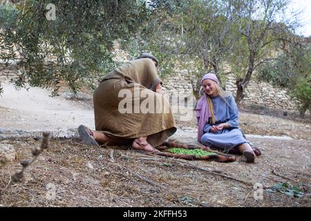 4 novembre 2022 Un jeune couple en vêtements traditionnels, en gradant les olives récoltées d'un ancien olivier. Situé dans le village de Nazareth en plein air Banque D'Images