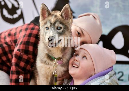 Deux petites filles en chapeaux roses épousant le chien Husky de Sibérie, portrait amusant du chiot Husky et des enfants. Les filles et les chiots Husky sont heureux Banque D'Images