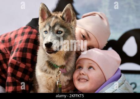 Deux petites filles en chapeaux roses épousant le chien Husky de Sibérie, portrait amusant du chiot Husky et des enfants. Les filles et les chiots Husky sont heureux Banque D'Images