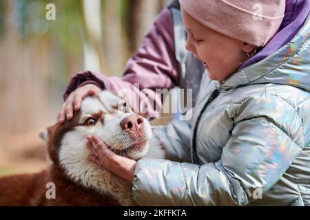 Deux petites filles en vestes jouant et petting chien Husky sibérien brun, drôle de rencontre de chien Husky et d'enfants. Joyeuses sœurs filles et chiens câlins sur au Banque D'Images