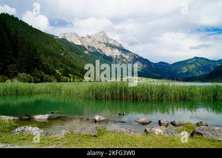 Pittoresque lac alpin vert émeraude Haldensee entouré d'arbres verts luxuriants dans les Alpes de la vallée de Tannheim ou Tannheimer Tal, Tirol, Autriche Banque D'Images