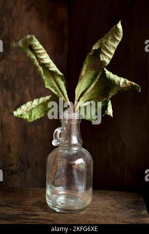 Une bouteille en verre transparent avec des feuilles séchées disposées artistiquement, sur un fond en bois rustique Banque D'Images