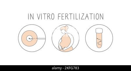 Jeu d'icônes de fécondation in vitro. Illustration simple linéaire grossesse et fertilité. Signes de fécondation FIV. Vecteur Illustration de Vecteur