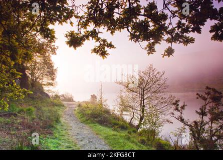 Dawn brumeux à l'angle sud-est du lac Llyn Dinas, dans le parc national Nantgwynant Valley Snowdonia Gwynedd North Wales UK, fin du printemps. Banque D'Images