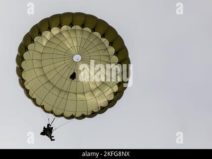 Un parachutiste roumain effectue un saut aéroporté d'un C-130 à l'aide d'un parachute britannique pendant l'exercice Falcon Leap sur la zone de chute Heide de Hechtselse, Hechtel-Eksel, Belgique., 15 septembre 2022. Plus de 1000 parachutistes du monde entier, 13 nationalités différentes, plusieurs aéroglisseurs par jour, et entraînement avec d'autres équipements pendant deux semaines. Il s'agit du plus grand exercice technique aéroporté de l'OTAN. Banque D'Images