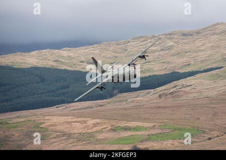 RAF Hercules volant à travers la boucle Mach à bas niveau avec des collines et des arbres forestiers verts en arrière-plan. Banque D'Images