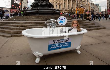 Londres, Angleterre, Royaume-Uni. 18th novembre 2022. L'HIVER DE FAYE de Love Island est vu corps-peint comme orque et posant dans une baignoire à Piccadilly Circus pour exhorter Brits à éviter les parcs marins pour les vacances où orques et autres dauphins sont animaux dans des réservoirs qui, pour eux, sont la taille d'une baignoire. (Image de crédit : © Tayfun Salci/ZUMA Press Wire) Banque D'Images