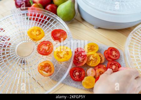 Sèche-linge électrique pour déshydrater des produits avec chargement horizontal de palettes. Vue de dessus, une fille pose des tomates tranchées en gros plan, lumière naturelle Banque D'Images