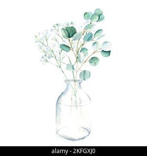 Branches d'eucalyptus et de gypsophila dans vase, bouteille, pot. Aquarelle dessin à la main illustration botanique isolée sur fond blanc. Éco-minimaliste Banque D'Images