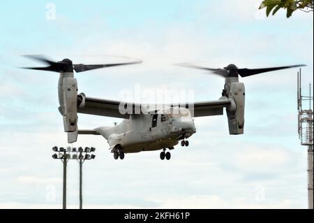 Tokunoshima, Japon. 18th novembre 2022. L'Osprey MV-22 des Marines américaines atterrit lors de l'exercice militaire conjoint américain et japonais « Keen Sword 23 » sur l'île de Tokunoshima, préfecture de Kagoshima, au Japon, sur 18 novembre 2022. Photo par Keizo Mori/UPI crédit: UPI/Alay Live News Banque D'Images