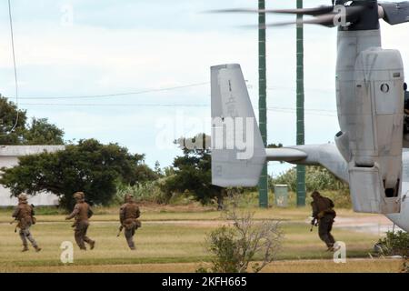Tokunoshima, Japon. 18th novembre 2022. L'Osprey MV-22 des Marines américaines atterrit lors de l'exercice militaire conjoint américain et japonais « Keen Sword 23 » sur l'île de Tokunoshima, préfecture de Kagoshima, au Japon, sur 18 novembre 2022. Photo par Keizo Mori/UPI crédit: UPI/Alay Live News Banque D'Images
