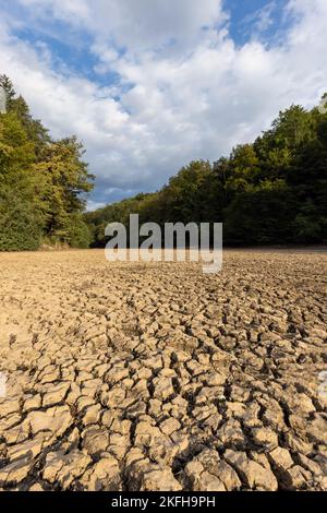 Lit de rivière séché avec des restes de boue fissurée, situé dans la zone forestière Banque D'Images