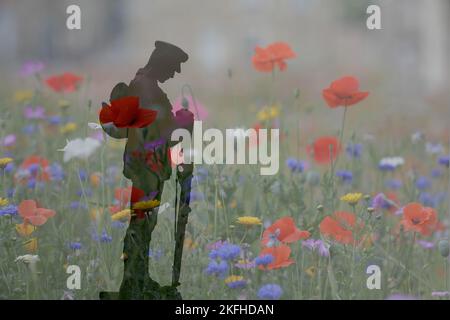 Deux images composites. Image de fleurs sauvages prise à Burnley Lancashire, Royaume-Uni, et la seconde au mémorial de guerre de Slaidburn Banque D'Images