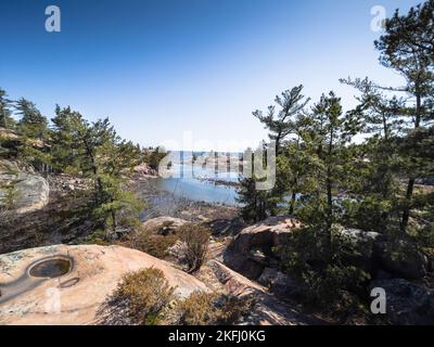 Vue panoramique sur les plantes qui poussent au milieu des formations rocheuses au bord de la mer par un ciel bleu clair pendant la journée ensoleillée Banque D'Images