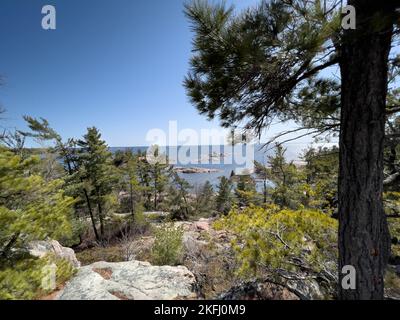 Vue panoramique sur les plantes qui poussent au milieu de formations rocheuses contre la mer et ciel bleu clair pendant la journée ensoleillée Banque D'Images