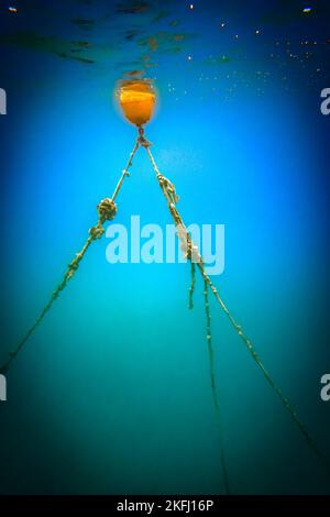 Bouée attachée avec de longues cordes flottant sous l'eau dans bleu paysage marin. Banque D'Images